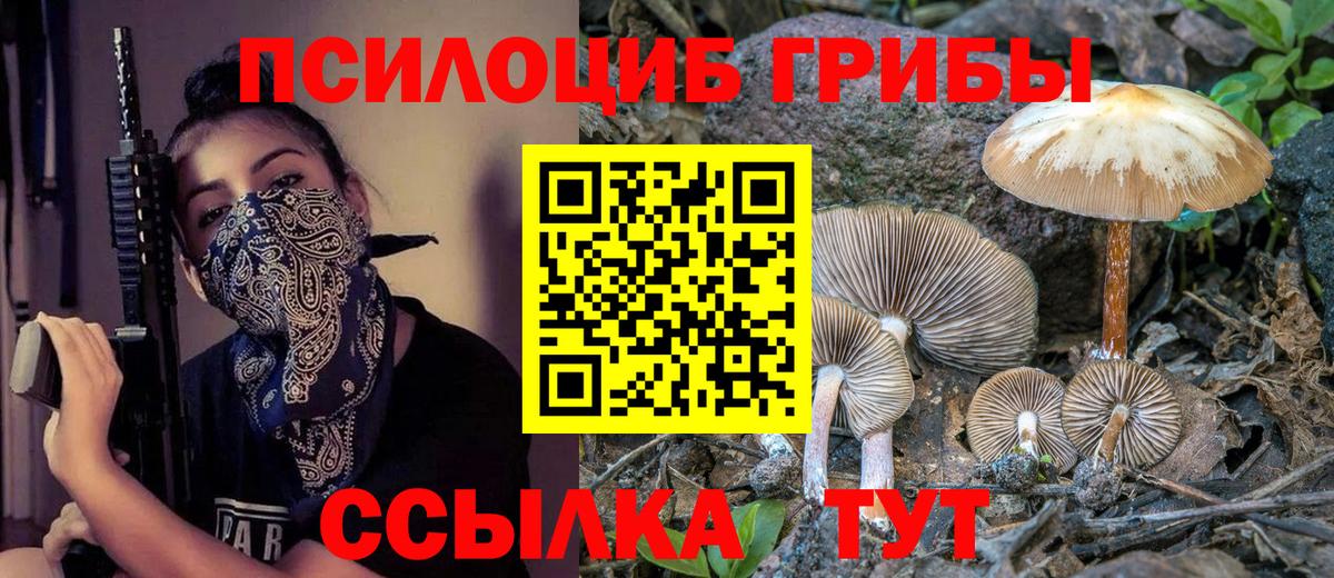 Галлюциногенные грибы Cubensis Сланцы