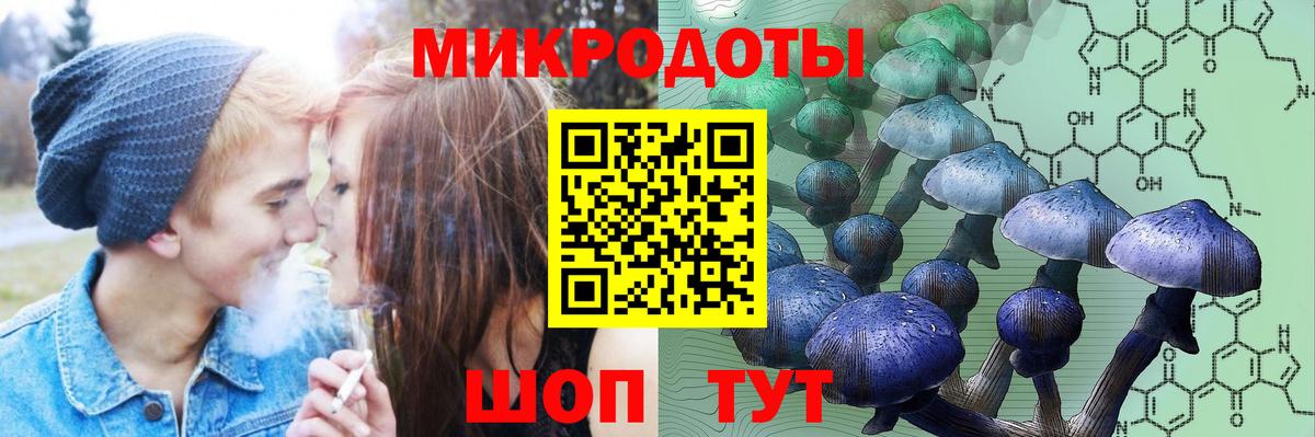 закладка  Галлюциногенные грибы Magic Shrooms  Вход с VPN  Сланцы 